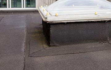 disadvantages of Wembworthy flat roofs