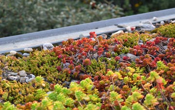 the cost of Wembworthy green roof installation