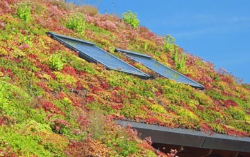 Wembworthy living roof systems