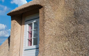 Wembworthy thatch roof disadvantages